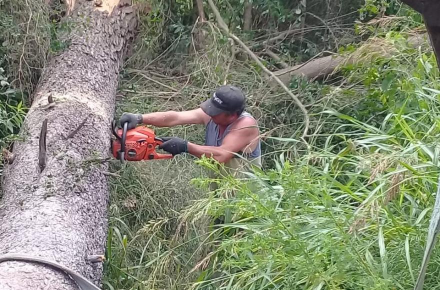 Siguen los trabajos.