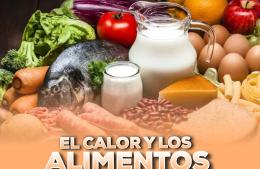 Cuidado de los alimentos durante la temporada de calor