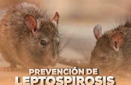 Leptospirosis: el saber la gana al miedo