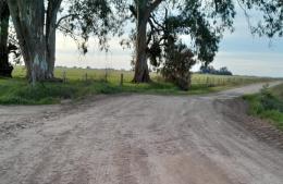 Continúa la mejora los caminos rurales